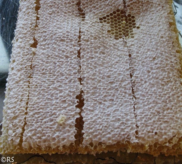 Jyvõskylõn kapituli_-15