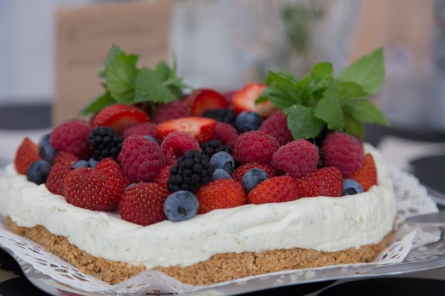 Rotissööri-Piknik-21