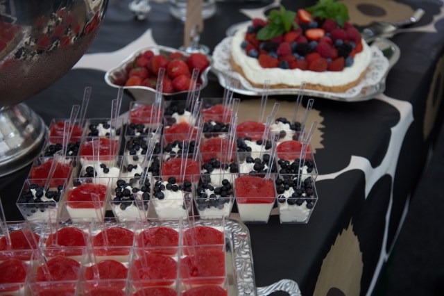 Rotissööri-Piknik-22