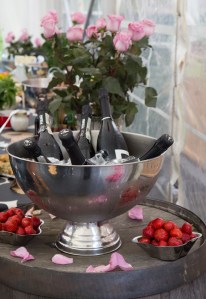 Rotissööri-Piknik-3