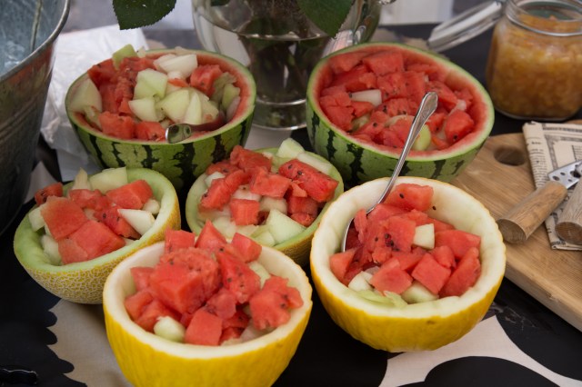 Rotissööri-Piknik-8